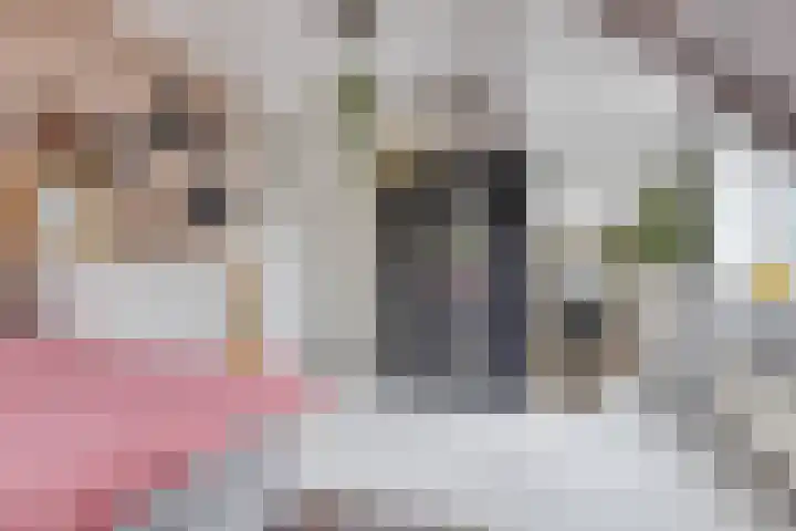 Oranje Nassaulaan 25 Warmond thumbnail 40