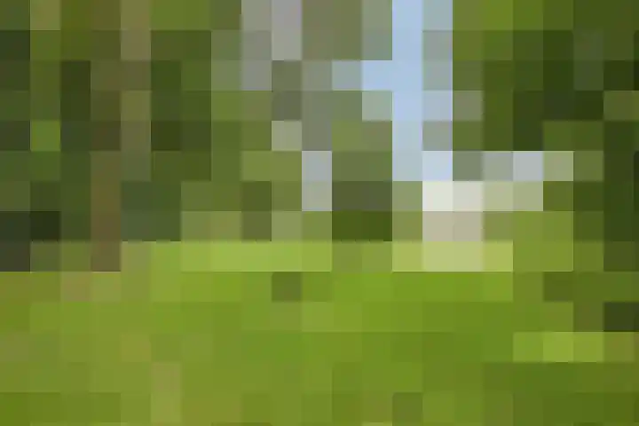 Oranje Nassaulaan 25 Warmond thumbnail 45