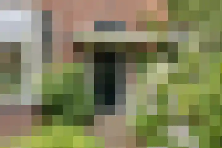 Oranje Nassaulaan 25 Warmond thumbnail 5