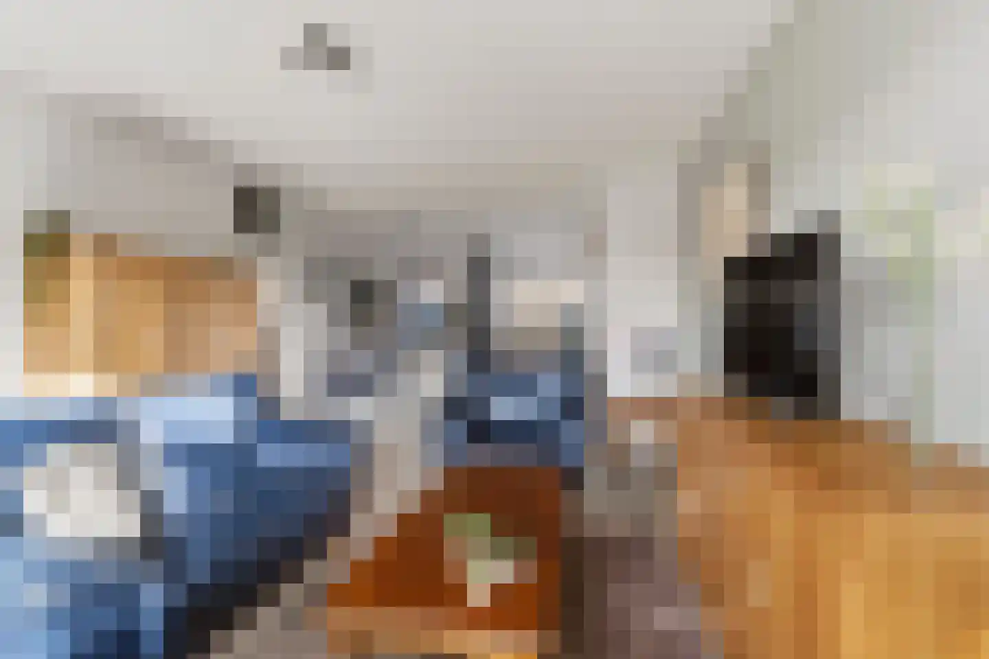 Oranje-Nassaulaan 26 Sint-Oedenrode thumbnail 8