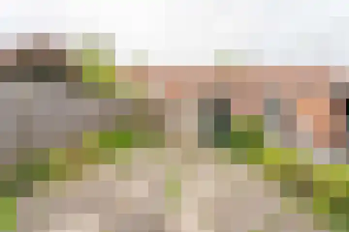 Oranje Nassaulaan 27 Voorhout thumbnail 16