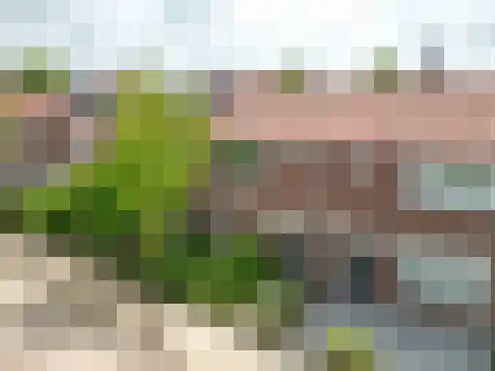 Oranje Nassaulaan 27 Voorhout thumbnail 19