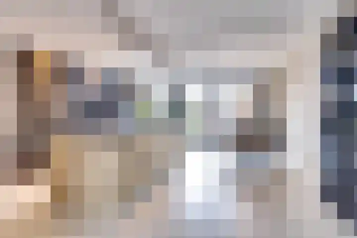 Oranje Nassaulaan 28 Bladel thumbnail 10