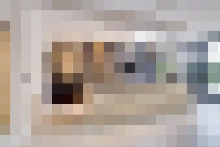 Oranje Nassaulaan 28 Bladel thumbnail 11