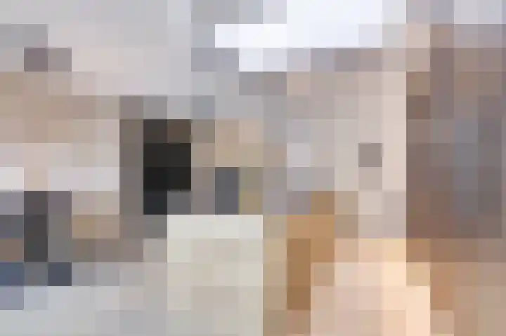 Oranje Nassaulaan 28 Bladel thumbnail 12