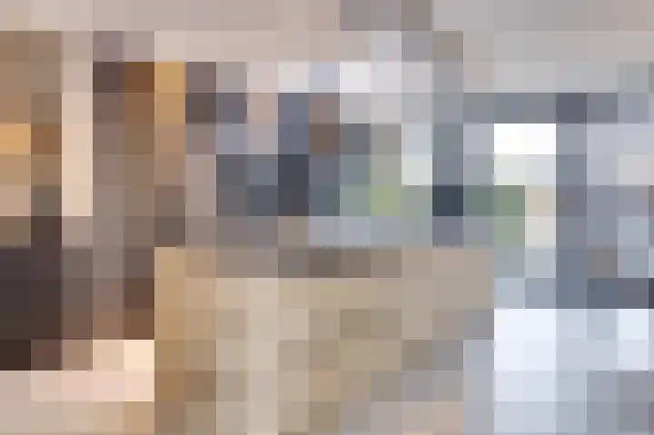 Oranje Nassaulaan 28 Bladel thumbnail 14