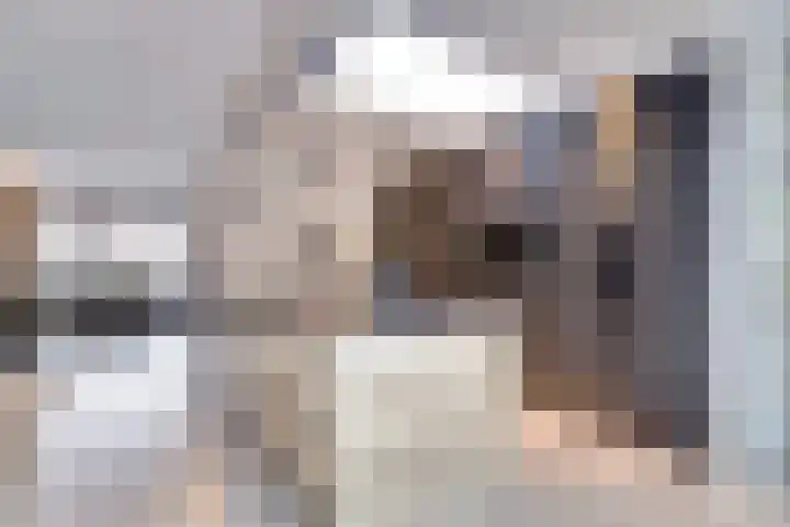 Oranje Nassaulaan 28 Bladel thumbnail 15