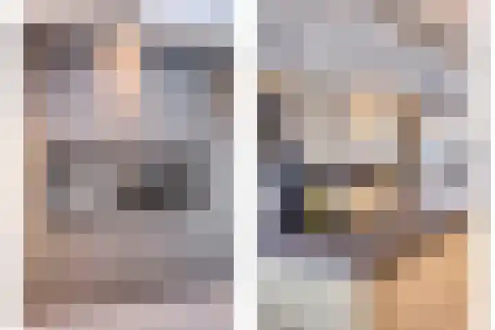 Oranje Nassaulaan 28 Bladel thumbnail 17