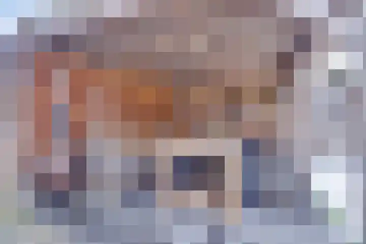 Oranje Nassaulaan 28 Bladel thumbnail 33