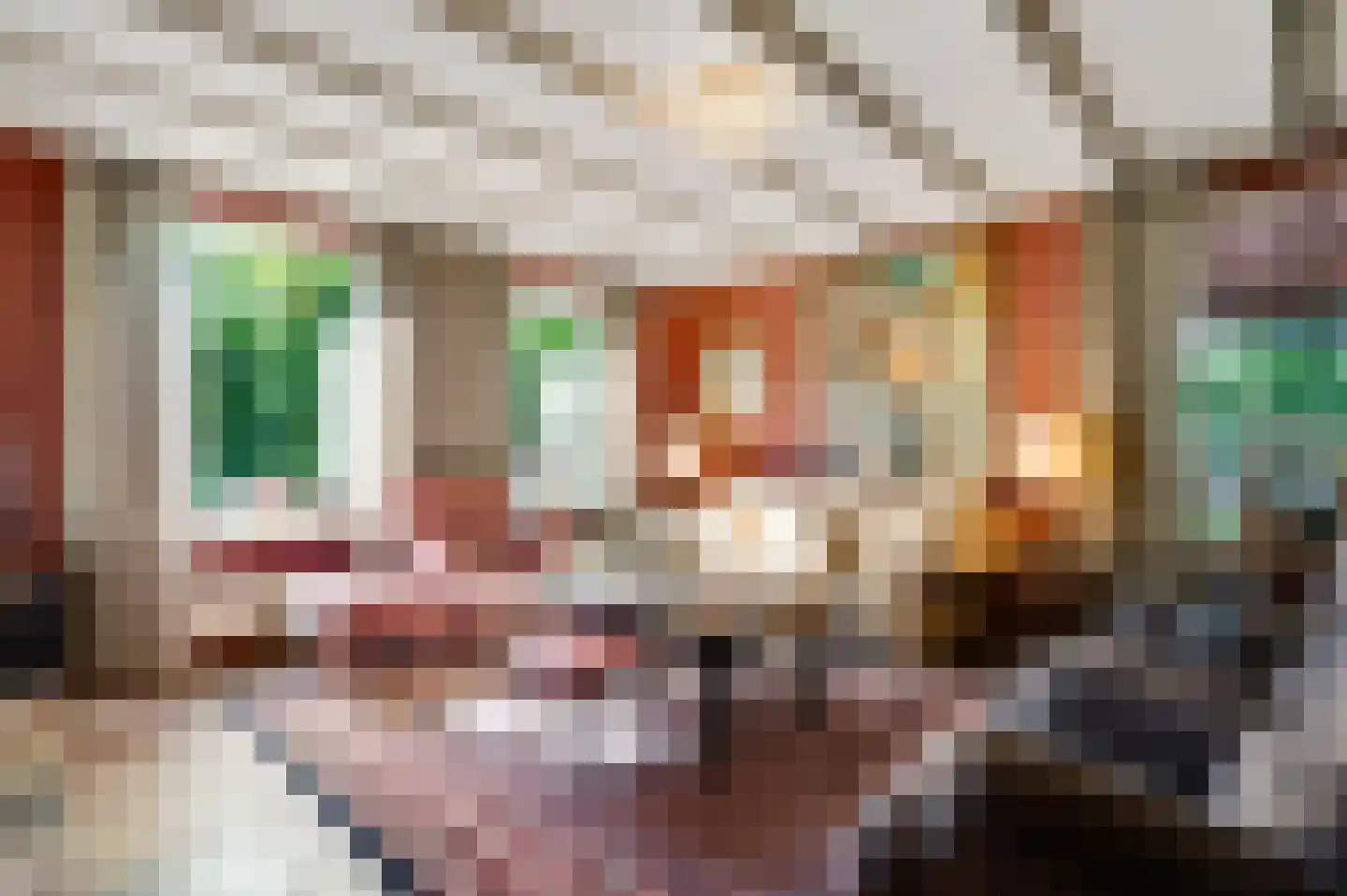 Oranje Nassaulaan 29 Maarheeze thumbnail 20