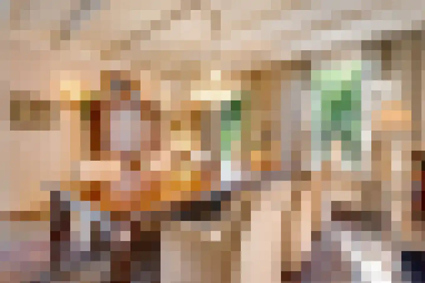 Oranje Nassaulaan 29 Maarheeze thumbnail 22