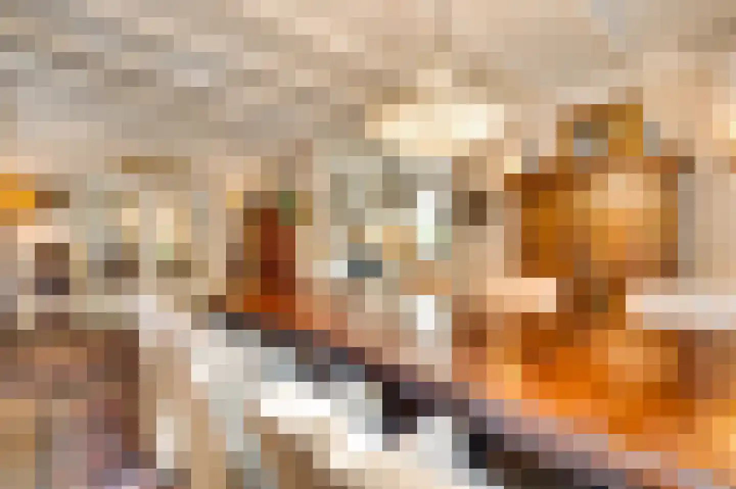 Oranje Nassaulaan 29 Maarheeze thumbnail 23