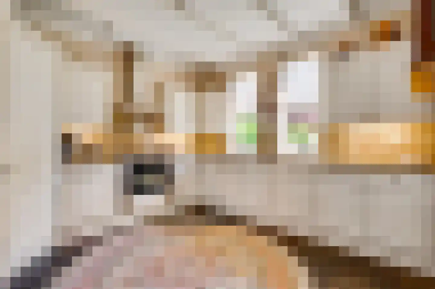 Oranje Nassaulaan 29 Maarheeze thumbnail 24