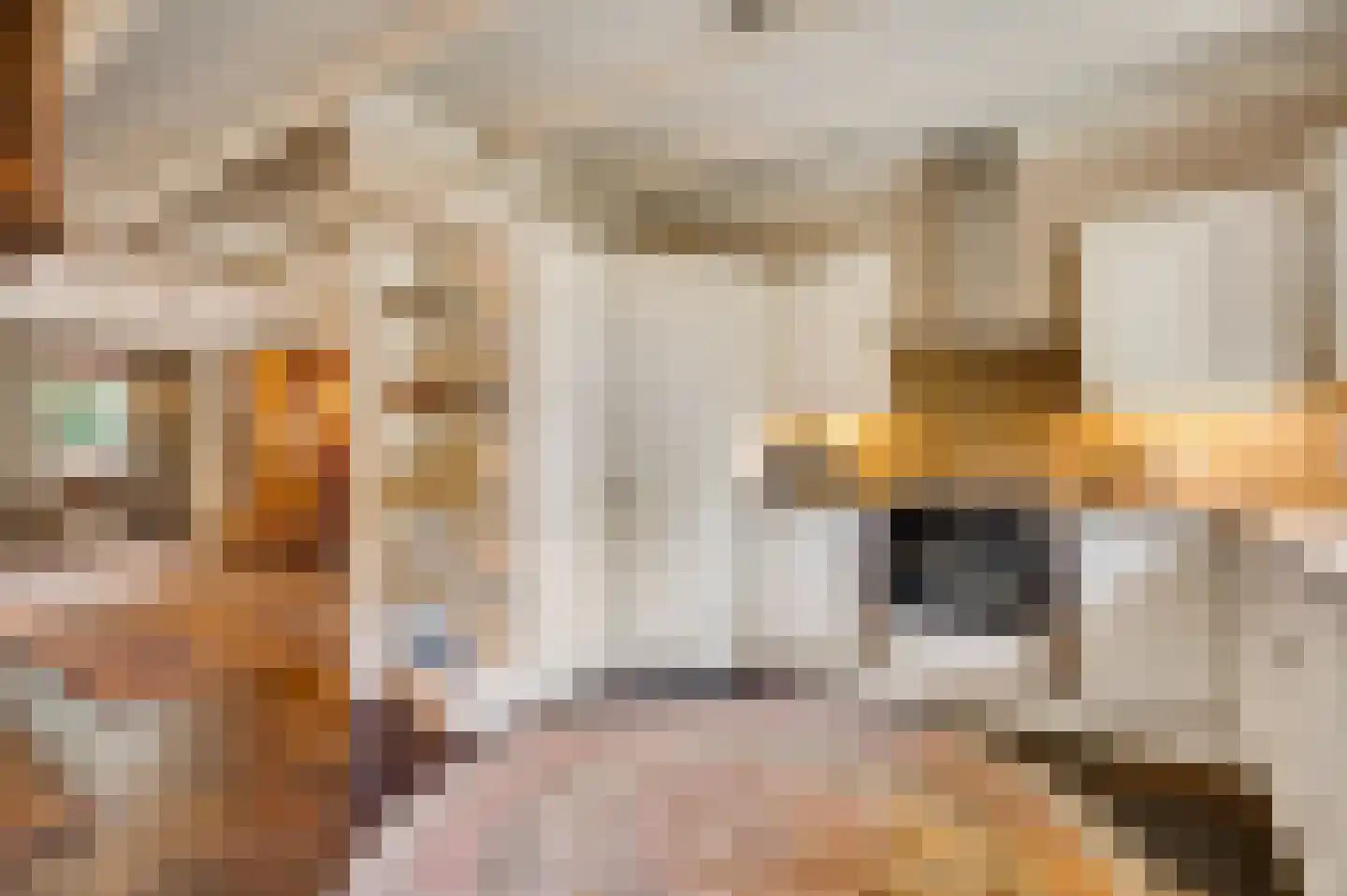 Oranje Nassaulaan 29 Maarheeze thumbnail 25