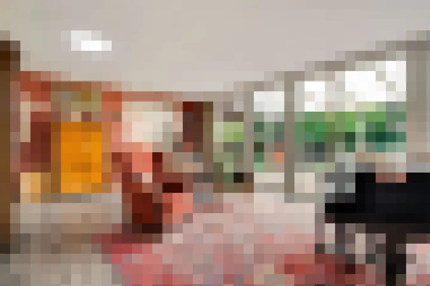 Oranje Nassaulaan 29 Maarheeze thumbnail 27