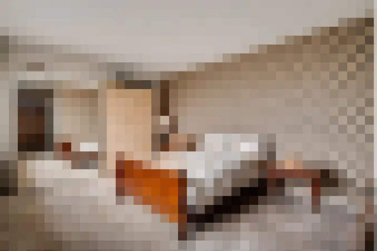 Oranje Nassaulaan 29 Maarheeze thumbnail 35