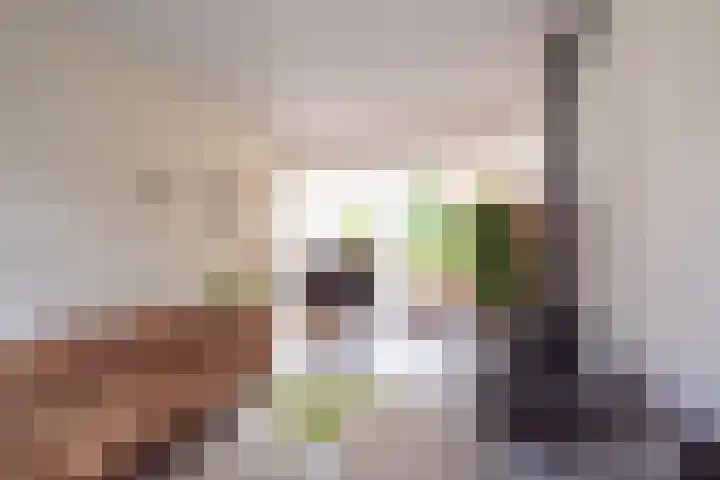 Oranje Nassaulaan 29 Overveen thumbnail 11