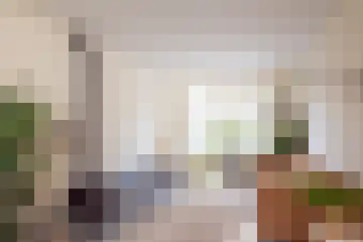 Oranje Nassaulaan 29 Overveen thumbnail 12