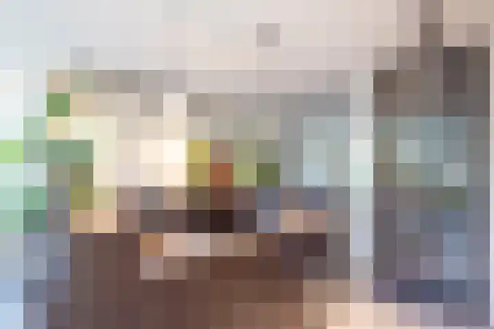 Oranje Nassaulaan 29 Overveen thumbnail 18