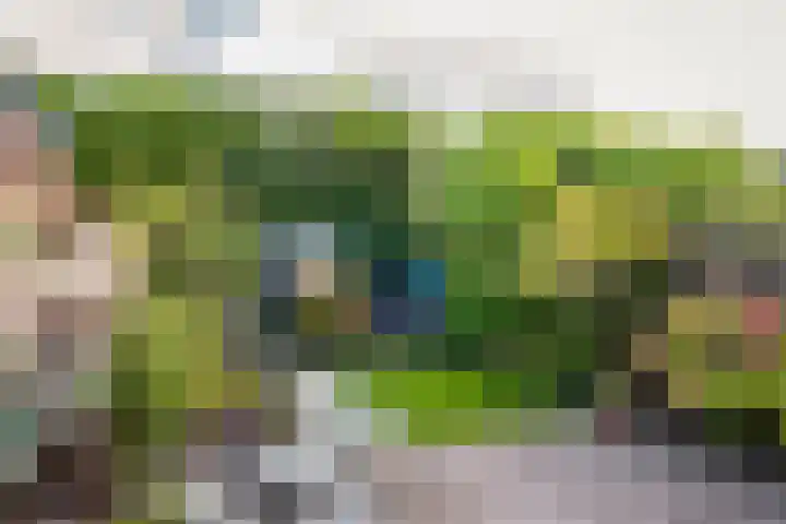 Oranje Nassaulaan 29 Overveen thumbnail 23