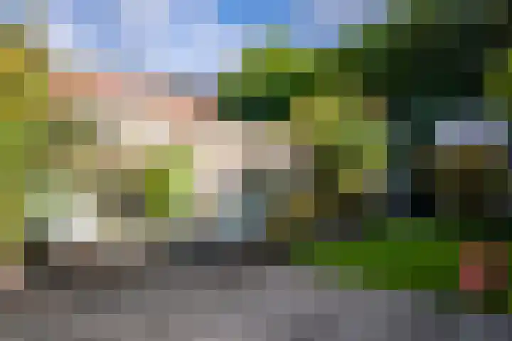 Oranje Nassaulaan 29 Overveen thumbnail 26