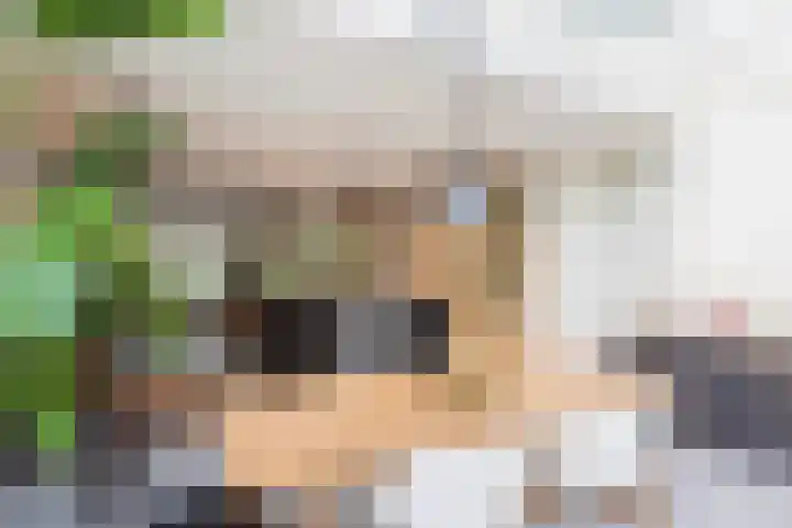 Oranje Nassaulaan 29 Overveen thumbnail 29