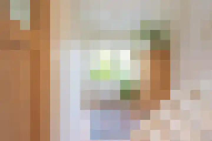 Oranje Nassaulaan 29 Overveen thumbnail 31