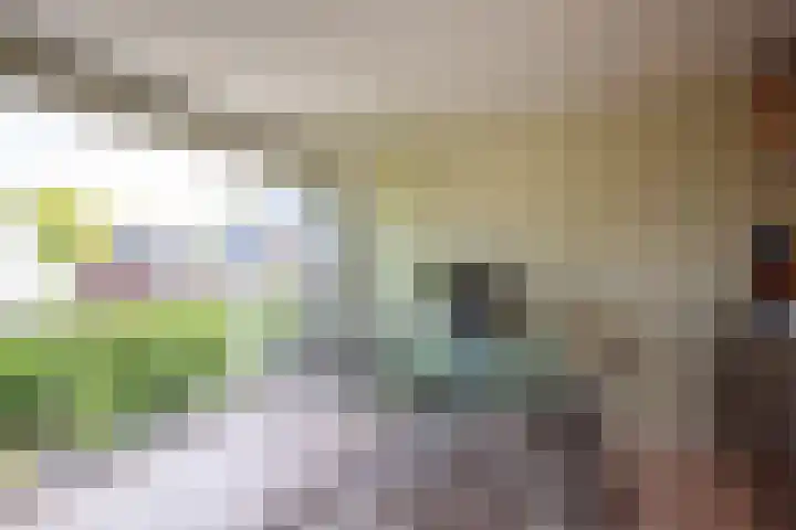 Oranje Nassaulaan 29 Overveen thumbnail 43