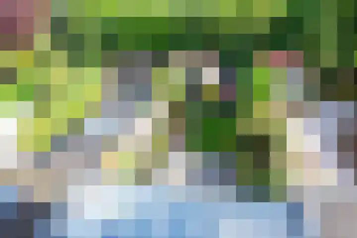 Oranje Nassaulaan 29 Overveen thumbnail 44