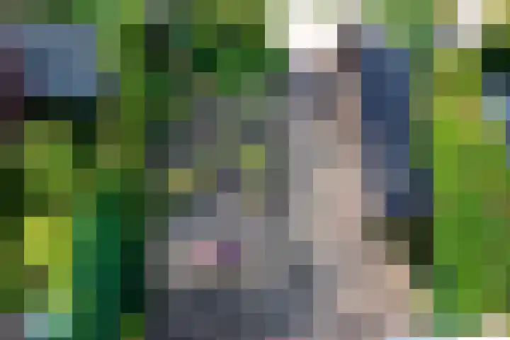 Oranje Nassaulaan 29 Overveen thumbnail 47