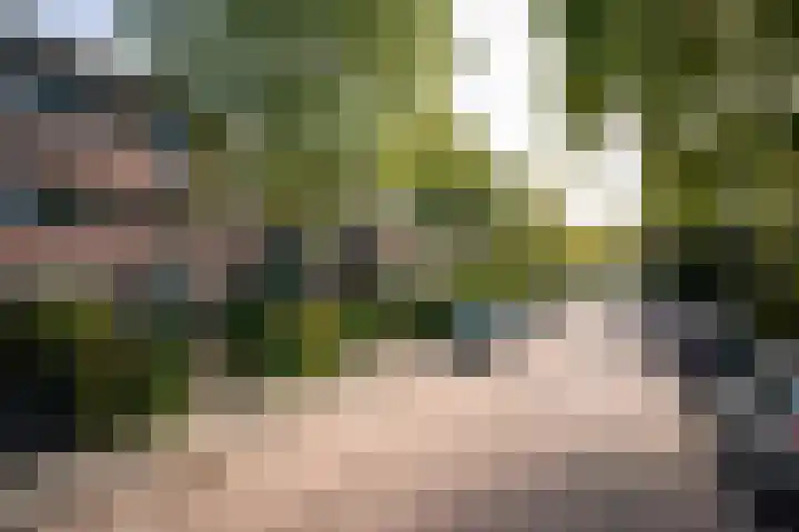 Oranje Nassaulaan 29 Overveen thumbnail 54