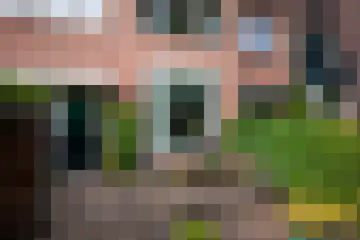 Oranje Nassaulaan 29 Overveen thumbnail 7