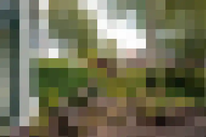 Oranje Nassaulaan 29 Overveen thumbnail 8