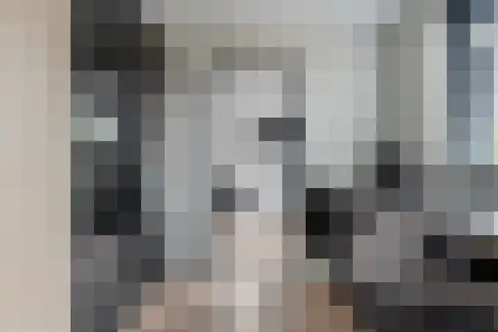 Oranje Nassaulaan 3 Hoogkarspel thumbnail 13