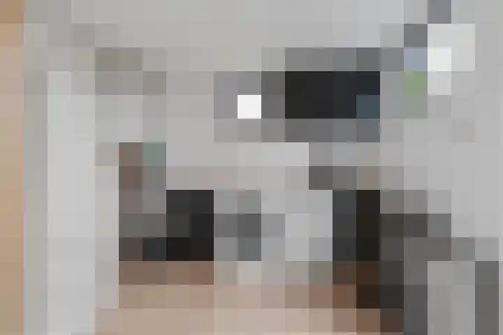 Oranje Nassaulaan 3 Hoogkarspel thumbnail 14