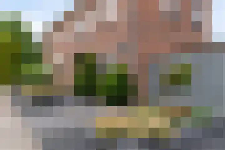 Oranje Nassaulaan 3 Hoogkarspel thumbnail 34