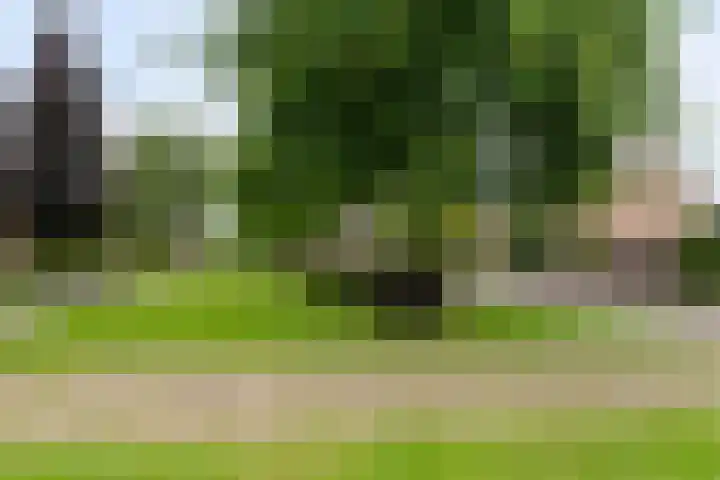 Oranje Nassaulaan 3 Hoogkarspel thumbnail 36
