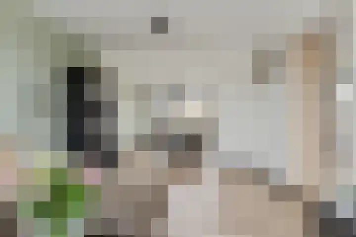 Oranje Nassaulaan 3 Hoogkarspel thumbnail 4