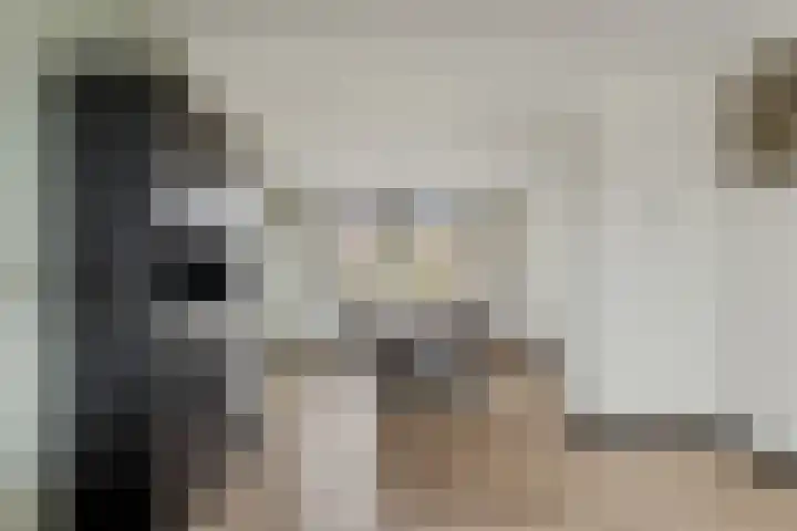 Oranje Nassaulaan 3 Hoogkarspel thumbnail 7