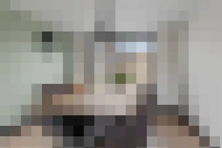 Oranje Nassaulaan 3 Hoogkarspel thumbnail 8