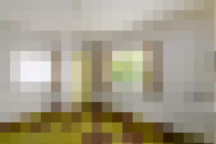 Oranje Nassaulaan 3 Wolvega thumbnail 16