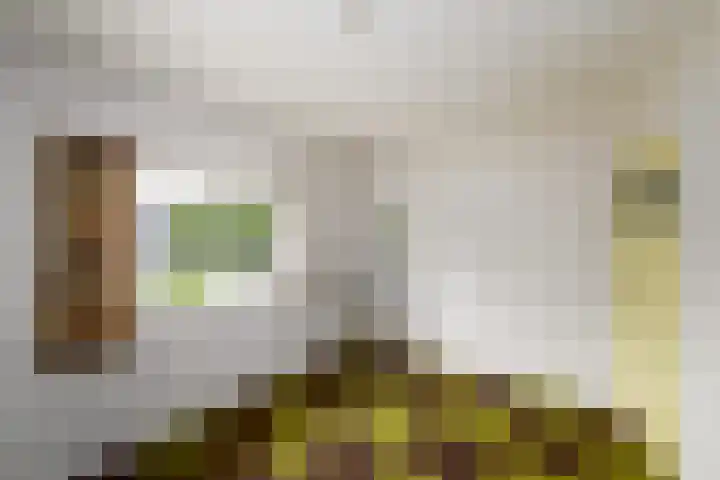 Oranje Nassaulaan 3 Wolvega thumbnail 17