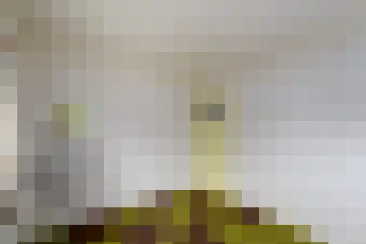 Oranje Nassaulaan 3 Wolvega thumbnail 18