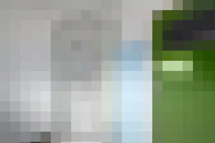 Oranje Nassaulaan 3 Wolvega thumbnail 23