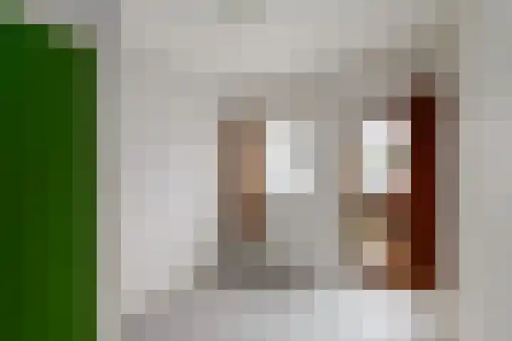 Oranje Nassaulaan 3 Wolvega thumbnail 26
