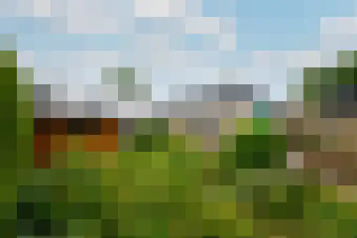 Oranje Nassaulaan 3 Wolvega thumbnail 29