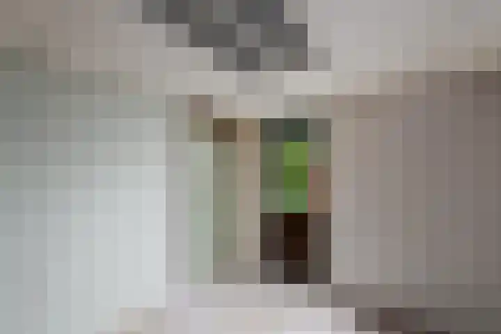 Oranje Nassaulaan 3 Wolvega thumbnail 31