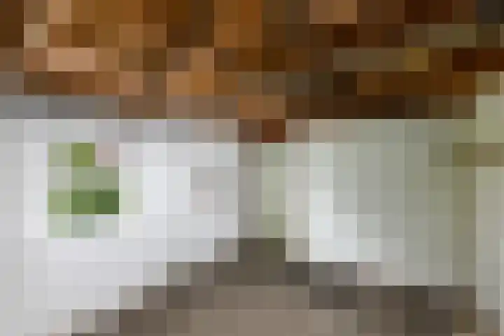 Oranje Nassaulaan 3 Wolvega thumbnail 33