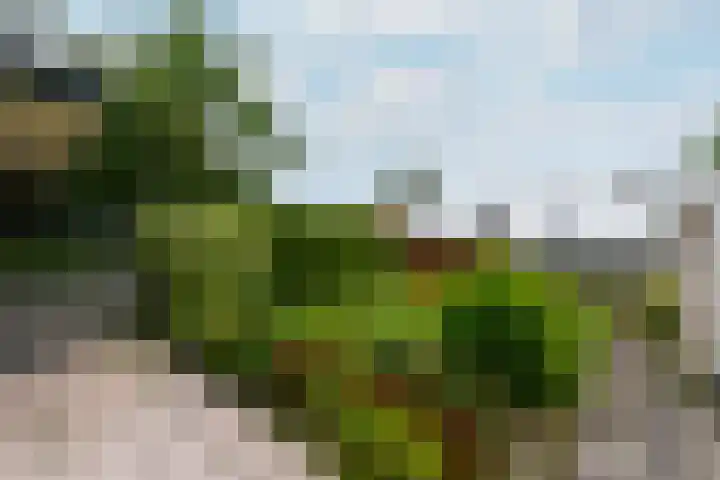 Oranje Nassaulaan 3 Wolvega thumbnail 34