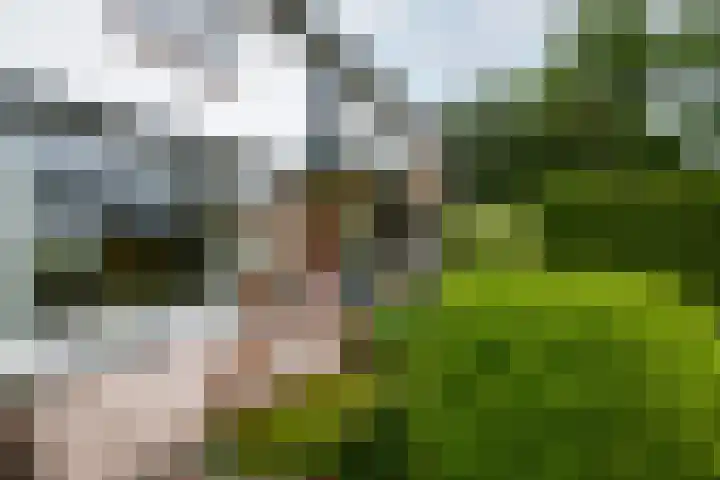 Oranje Nassaulaan 3 Wolvega thumbnail 35